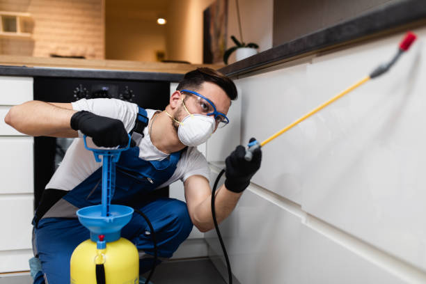 Best Mosquito Control Services  in Walnut, CA
