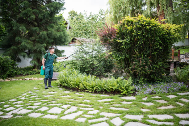 Best Exterminator Services  in Walnut, CA