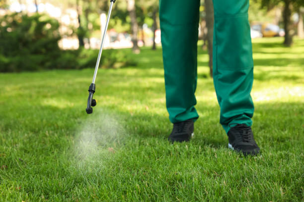 Professional Pest Control in Walnut, CA