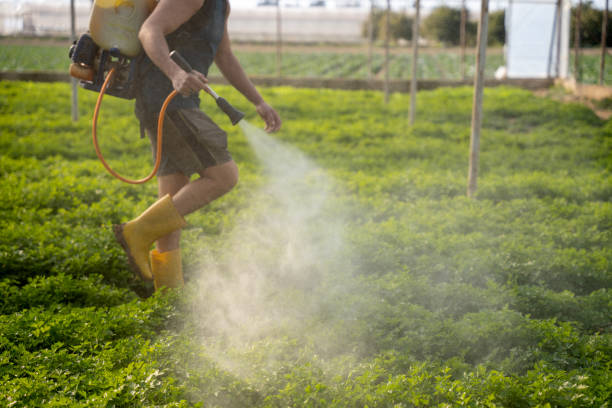 Pest Prevention Services in Walnut, CA