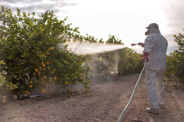 Best Termite Control Services  in Walnut, CA