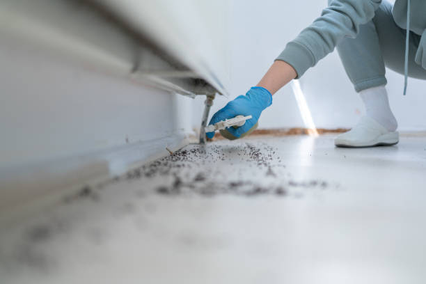 Best Insect Control  in Walnut, CA